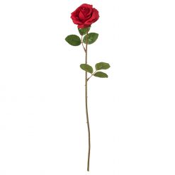اخبار و اطلاعیه